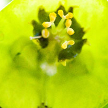 一键故障转移的DDOS压力测试网页端